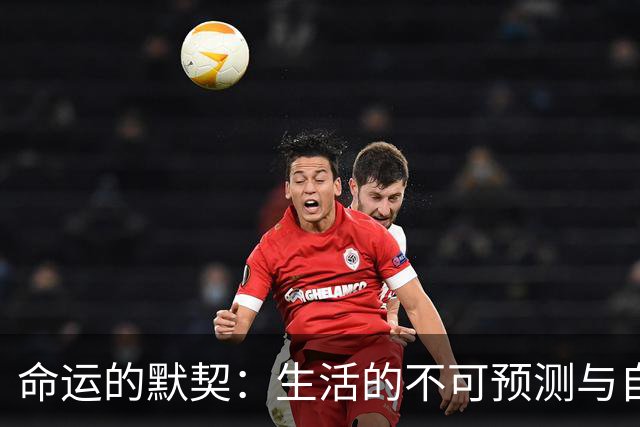 命运的默契：生活的不可预测与自我调整